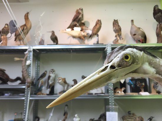 Natuurmuseum Fryslân